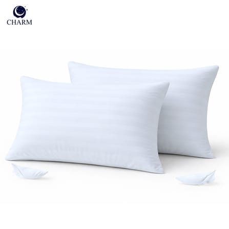 หมอนหนุน CHARM SWEET DREAM แพ็คคู่ (2 ใบ) นุ่มเด้ง สไตล์โรงแรม ขนาด 19X29 นิ้ว 1,000 กรัม_0